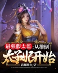 假太监从推倒太子妃开始的小说免费阅读