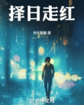 择日走红小说