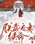 朕靠宠妻续命