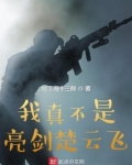 我真不是亮剑楚云飞最新章节目录