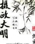 摄政大明无弹窗免费阅读