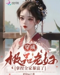 穿成极品老妇之后只想当咸鱼全文免费阅读寸寸金