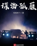 谍海孤雁百度云