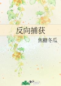 反向捕获by焦糖