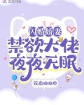 闪婚夫妇9