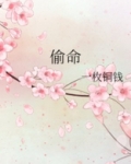 偷命师