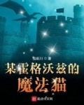 某霍格沃兹的魔法猫
