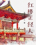 红楼正经人TXT笔趣阁