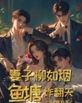 主人公叫柳如烟是什么小说