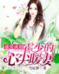盛爱成婚：霍少的心尖暖妻