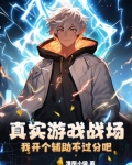 真实游戏战场，我开个辅助不过分吧