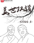 盖世双谐好看吗