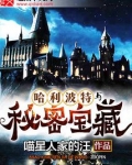 哈利波特与秘密宝藏有声小说