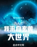 凡人修仙从雷法开始