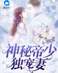 神秘帝少宠甜妻小说免费
