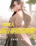 所有人都在等我们复婚txt