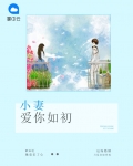 小妻爱你如初全文听