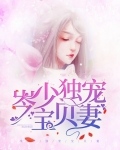 独宠少妻总裁的心尖小姑娘