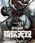 我在三国骑砍无双笔趣阁
