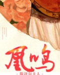 重生之凰鸣小说笔趣阁