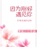 因为刚好遇见你简谱