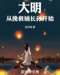 大明从挽救嫡长孙开始 作 者:见月明