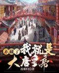 我在大唐卖军火01