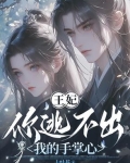 王妃,你跑不了