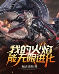 全职法师:我的火焰无限进化