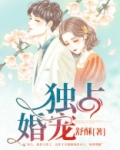宋少独占婚宠