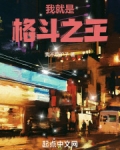 我，就是格斗之王！