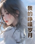 我的峥嵘岁月电视剧
