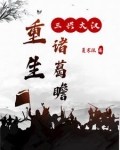 重生诸葛瞻之三兴大汉小说