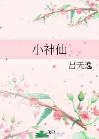 小神仙歌词