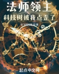 法师领主:科技树被我点歪了