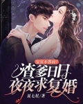 宝宝不答应！渣爹日日夜夜求复婚