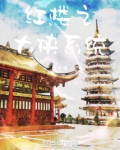 红楼梦之系统