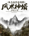 从大山中走出的风水神婿