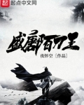 盛唐陌刀王 小说