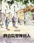 四合院种田三年我震惊世界 小说