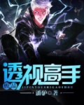 极品透视高手韩振阳小说