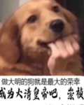 小说我成为崇祯以后