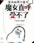 魔仙小蓝技能