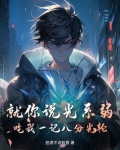 八分光轮进化史