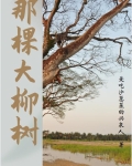 那棵大柳树 爱吃沙葱菜的兴泉人
