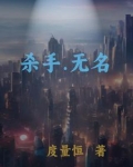杀手无名小说