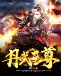 丹武至尊顽石