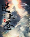 造化鼎 小说
