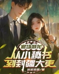 和官场游龙相自的小说