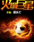 火爆巨星全文免费阅读